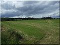 Farmland off Quarry Road