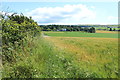 Farmland near High Greenan