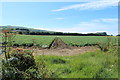 Farmland at High Greenan