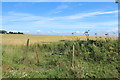 Farmland at High Greenan