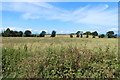 Farmland at Burton Smithy