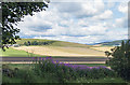 Farmland near Caddam