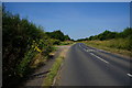 Lotherton Lane towards Aberford