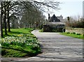 Access road, Cotehele