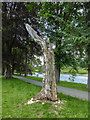 Carved Tree, Builth Wells, Powys