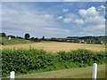 Field between the road and the railway, Doniford