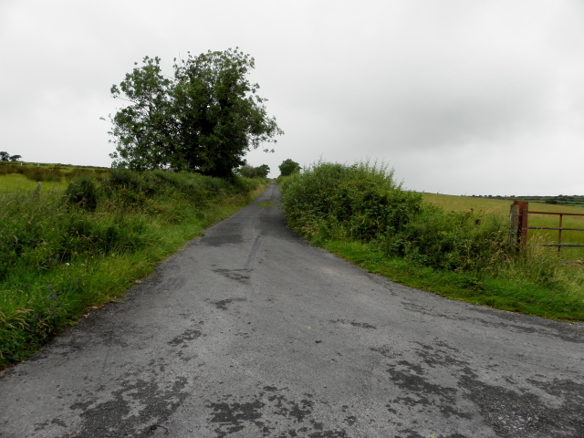 Minior road leading towards Fearn Hill