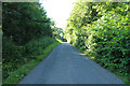 School Road near Culroy