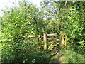 The West Gate into the Meadow Plots, Dancersend Reserve