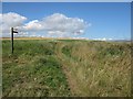 Cliff top footpath to St Abbs