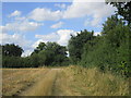 Approaching Lawn Lane