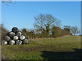 Farmland on the edge of Kibworth Beauchamp