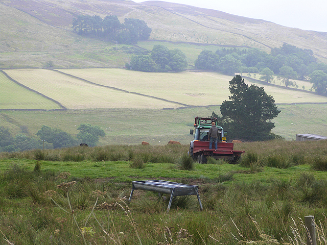 Field near Kirkhaugh