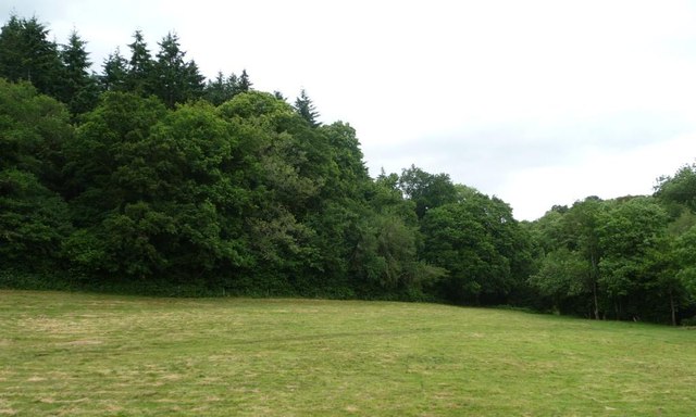The southern edge of Heddon Wood