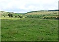 Looking up the Millstone Burn valley