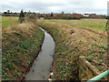 Drainage channel viewed from Lynch Road, Berkeley