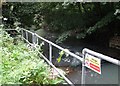 River Rother near Station Lane Sewage Works