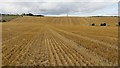 Barley stubble, Broombrae