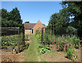 Vegetables behind the Church