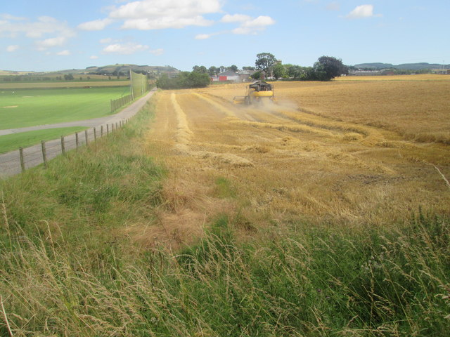 Combine harvesting at North Mains Farm, Forfar