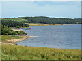 Banks of Derwent Reservoir