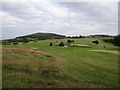 O2613 : Glen of the Downs Golf Club by Ian Paterson
