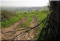 Track above Belsford