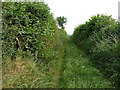 Bridleway to Featherstone