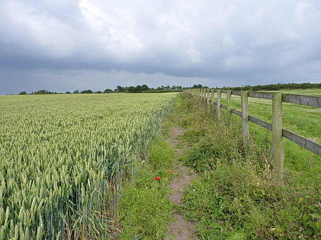 Bridleway from Featherstone Lane in June