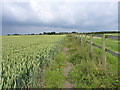 Bridleway from Featherstone Lane in June