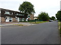 Bluebell Drive, Chelmsley Wood