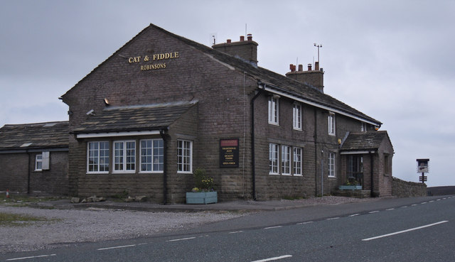 Cat and Fiddle