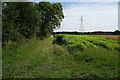 Farm Track off Forest Lane