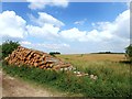 SU4484 : Logs and fields at Down Barn by Des Blenkinsopp