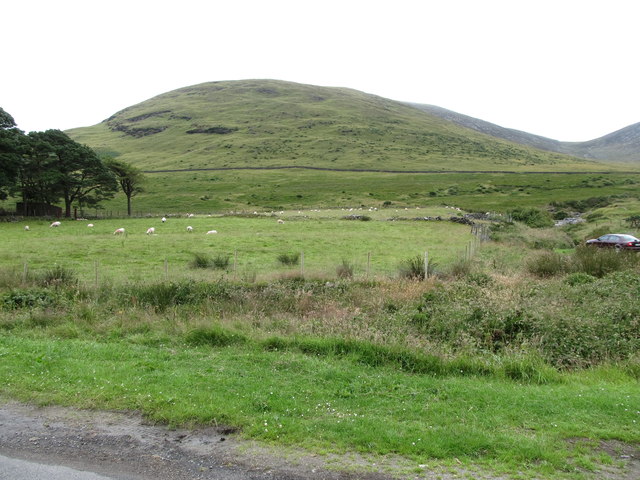 Sheep pastures on in-by land below Slieve Meelmore