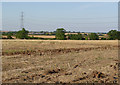 Landscape near Caunton