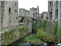 SO4108 : Raglan Castle - The moat and bridge by Rob Farrow