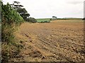 Farmland, Woolston