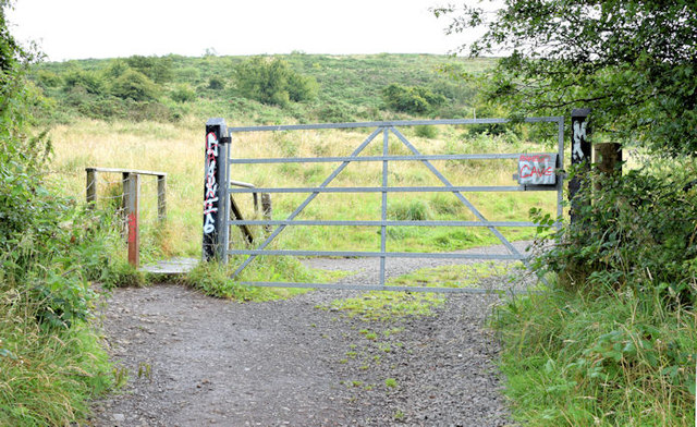 Gate and cattle grid near the Cave Hill, Belfast