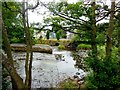 Weir and Salmon Ladder , Jedwater