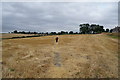 Path leading to North Featherstone