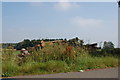 Woodpile by the roadside