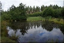 NH7794 : Pond in Skelbo Wood by Mike Pennington