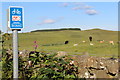 View towards Peelton Hill