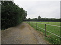 Path alongside paddocks