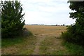 Farmland and stone