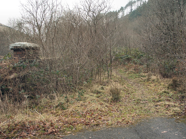 Overgrown disused railway bridge in the Garw Valley