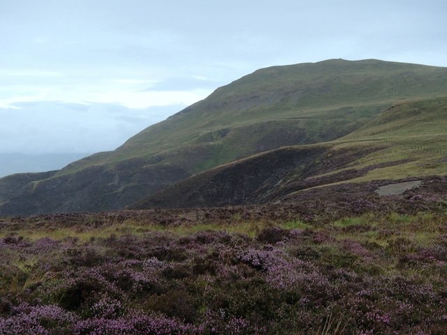 Moorland and view to Foel Fadian from the south-east