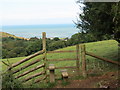 Llwybr Esgair Arth Path