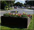 Flowers in Ratby village